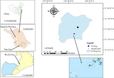 Two-level mixed-effects height to crown base model for moso bamboo (Phyllostachys edulis) in Eastern China